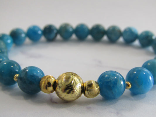 Grade A Apatite bracelet with 18k gold plated beads - 8mm